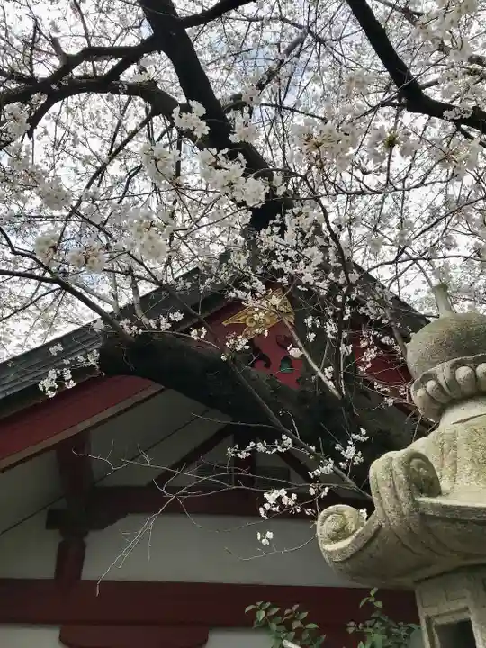 茶ノ木稲荷神社(東京都)