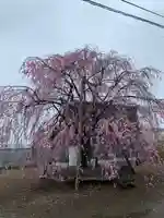 満願寺(埼玉県)