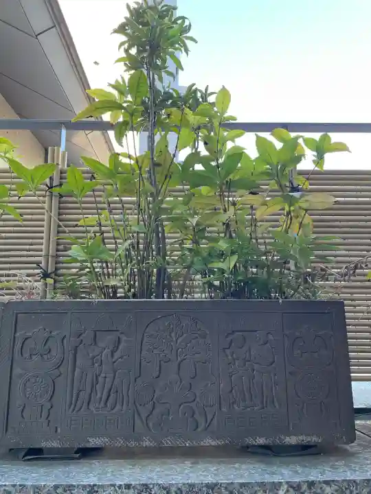 福昌寺の{uncategorized: "未分類", other: "その他", undefined: "問題あり", building: "その他建物", grave: "お墓", sacred_gate: "鳥居", guardian: "狛犬", statue: "像", buddha: "仏像", history: "歴史", nature: "自然", garden: "庭園", animal: "動物", pagoda: "塔", temizu: "手水舎", mountain_gate: "山門・神門", sanctuary: "本殿・本堂", subordinate: "末社・摂社", art: "芸術", scenery: "景色", jizo: "地蔵", ema: "絵馬", goshuin: "御朱印", omikuji: "おみくじ", items: "授与品その他", amulet: "お守り", goshuincho: "御朱印帳", eats: "食事", festival: "お祭り", votive_dance: "神楽", shichigosan: "七五三参", wedding: "結婚式", experience: "体験その他", initially: "初詣", around: "周辺", anti_infection: "感染症対策"}