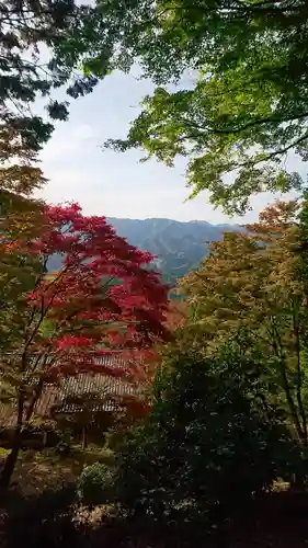 光明寺の景色