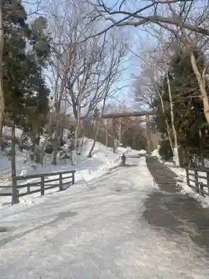 北海道神宮の鳥居
