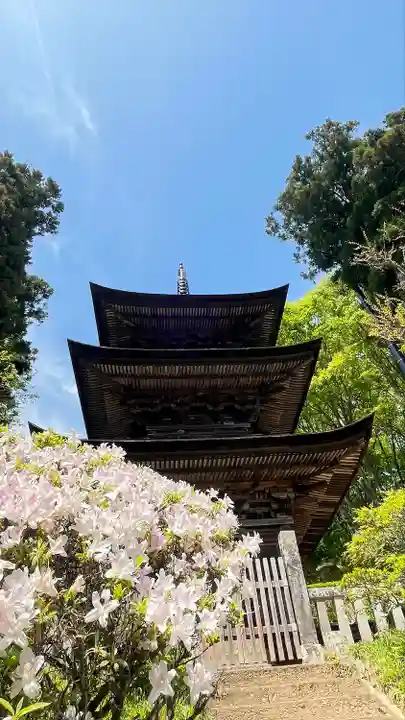 国宝 大法寺(長野県)