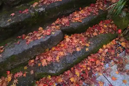 石都々古和気神社の自然