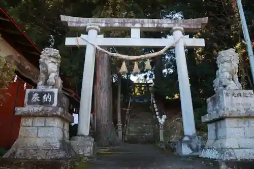 仁井田神社の鳥居