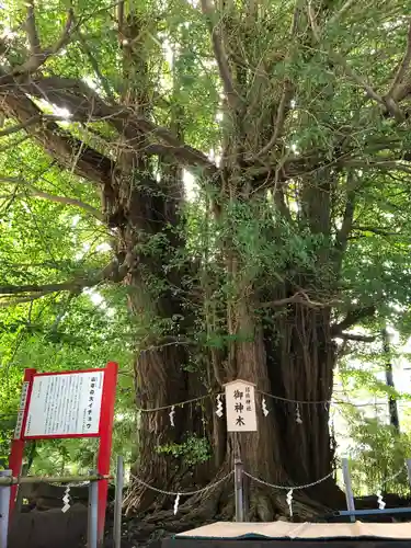 山寺日枝神社(山形県)