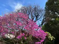 天台宗　長窪山　正覚寺の自然