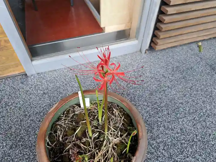 極楽山 浄土寺(北海道)