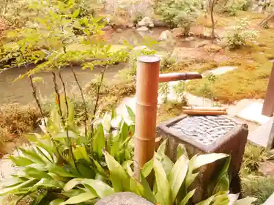 実相院門跡のその他建物