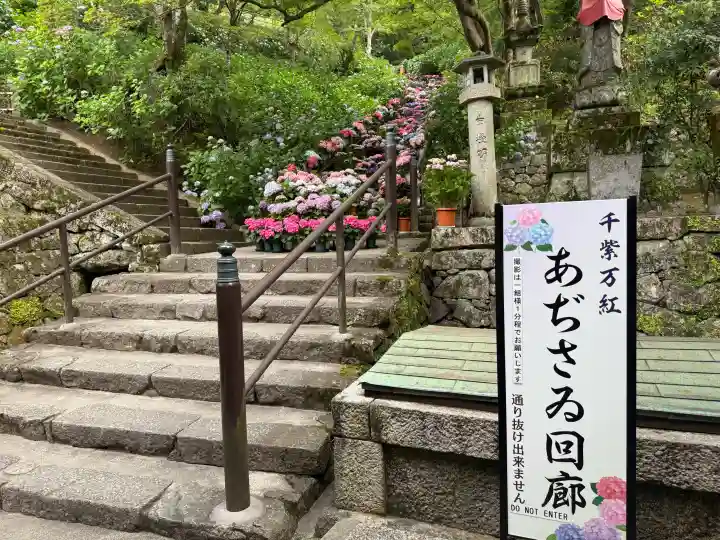 長谷寺(奈良県)
