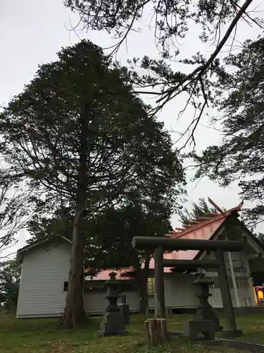 野幌神社の鳥居