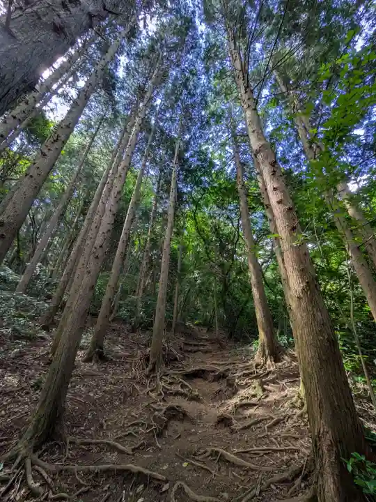 筑波山神社 女体山御本殿(茨城県)
