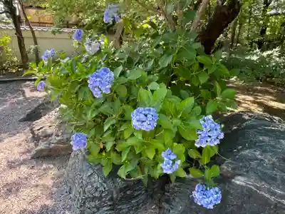 遍照院(埼玉県)