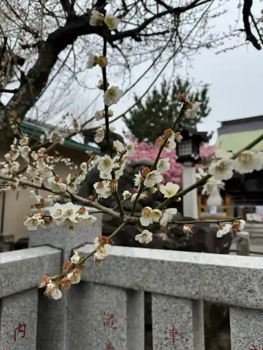 新宿下落合氷川神社(東京都)