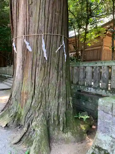 賀茂神社(群馬県)