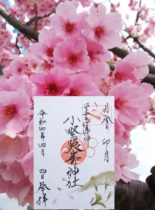 小野照崎神社の御朱印