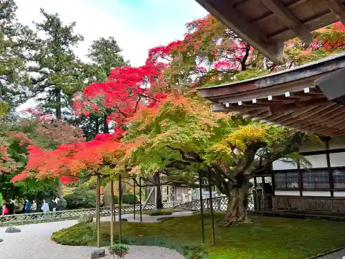 千如寺大悲王院の庭園