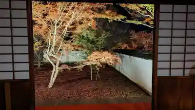 妙覺寺（妙覚寺）(京都府)