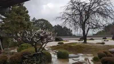 正法寺(京都府)
