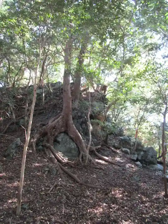 和多都美神社(長崎県)