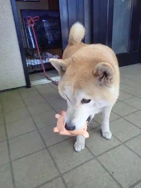 笠䅣稲荷神社(神奈川県)