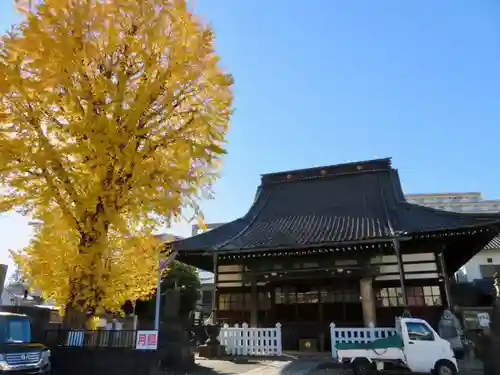 法禅寺の本殿・本堂