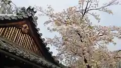 下御霊神社の自然