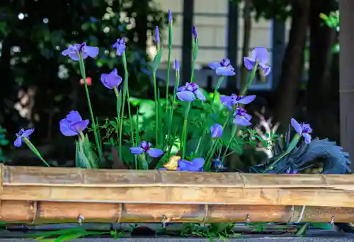東海市熊野神社の手水舎