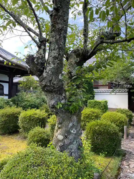一様院(京都府)