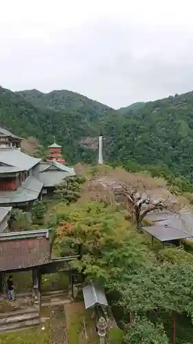 熊野那智大社の自然