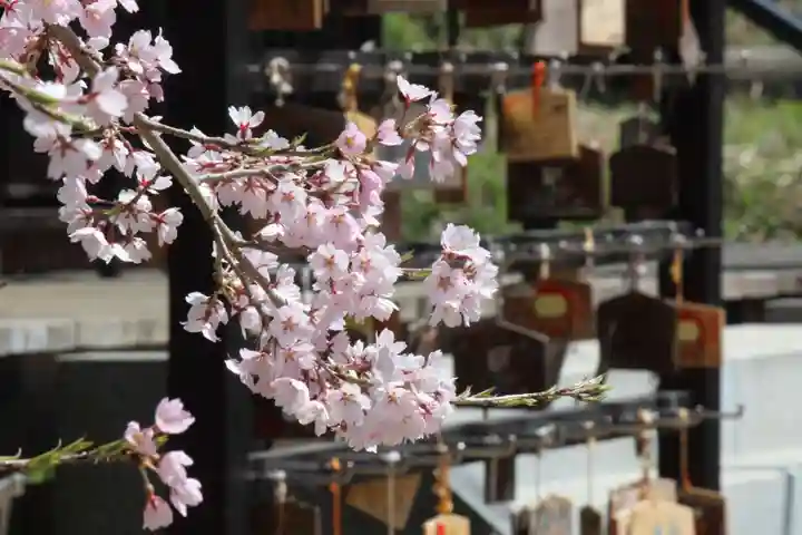 国宝 大法寺の自然