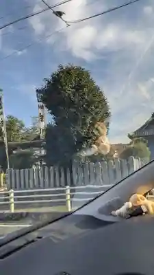 白山社（仲畑）のその他建物