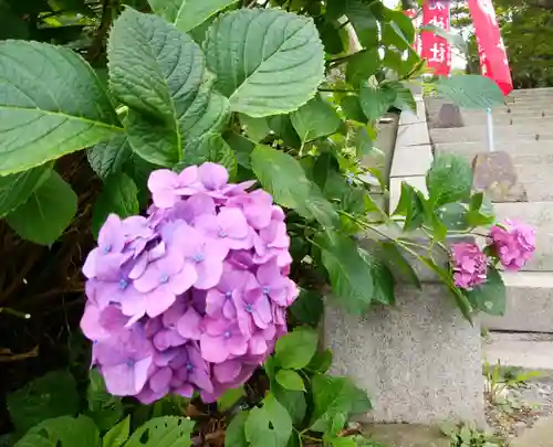 船魂神社の自然