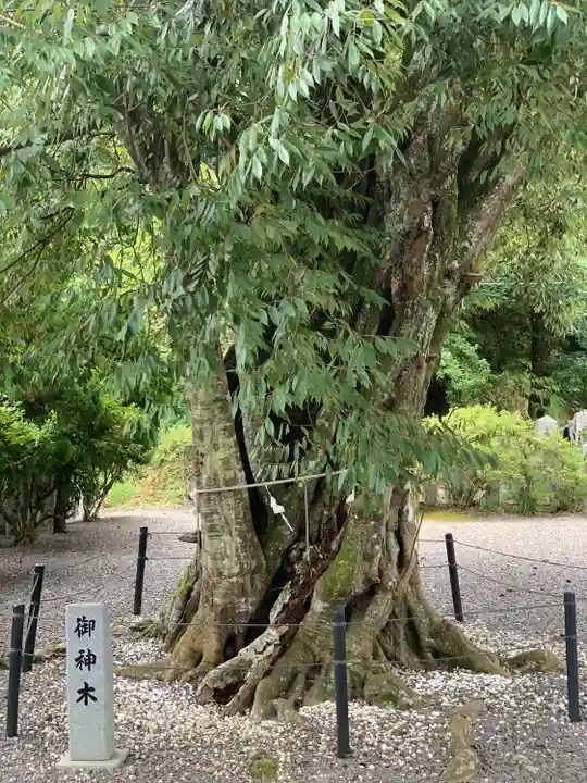 葛城神社妙見宮(福岡県)