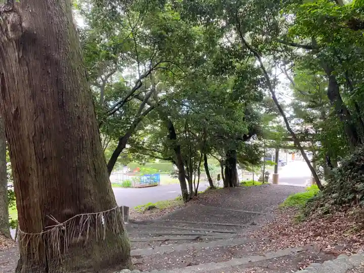 青山八幡宮(静岡県)