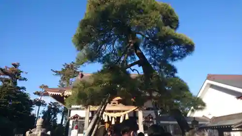 高靇神社の自然