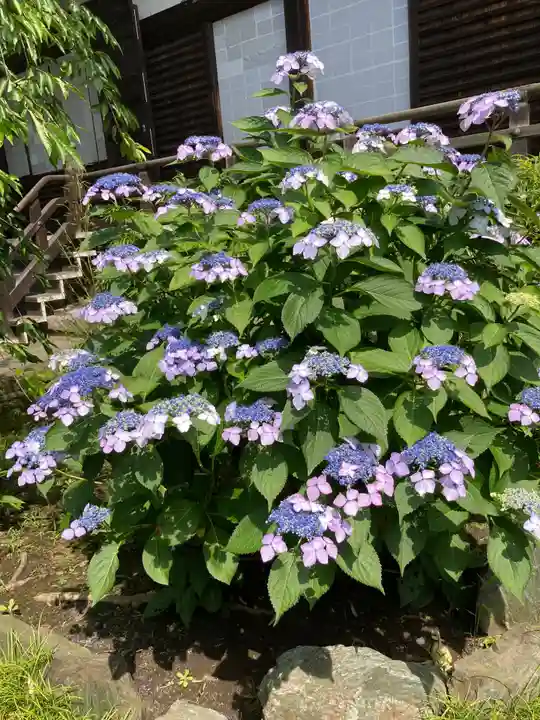 永勝寺(神奈川県)
