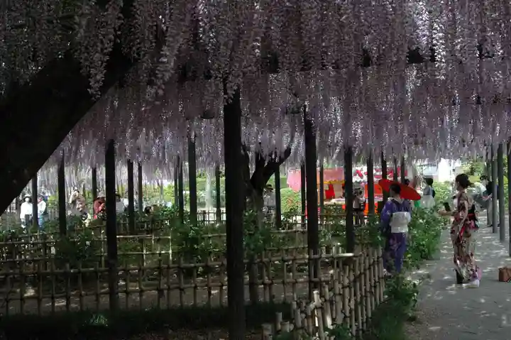 玉敷神社(埼玉県)