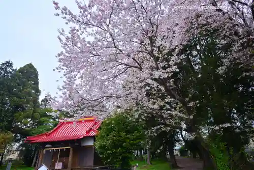 冨知神社(静岡県)