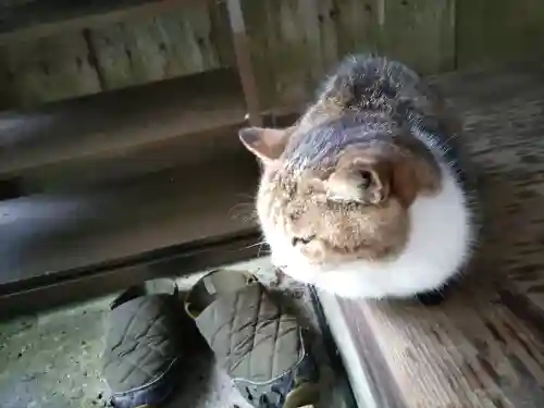 小松寺(千葉県)