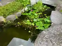 妙林寺(福島県)