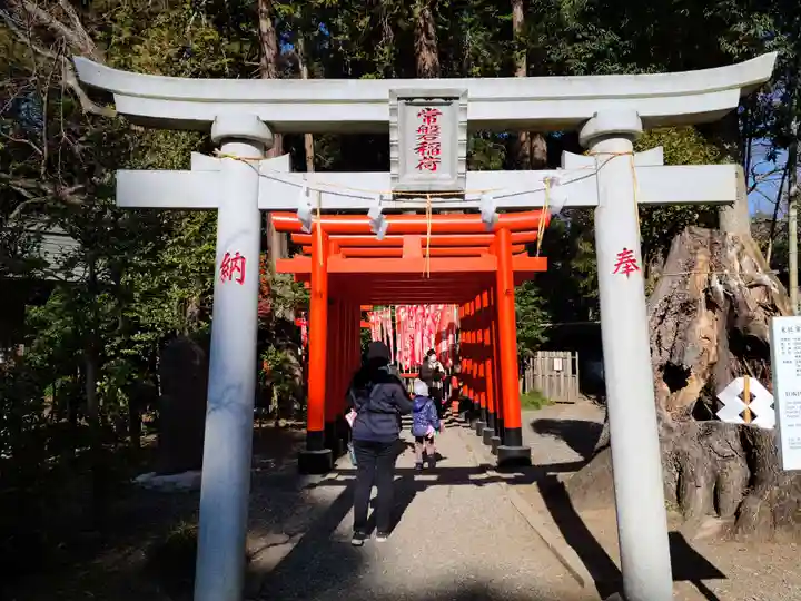 常磐神社の鳥居