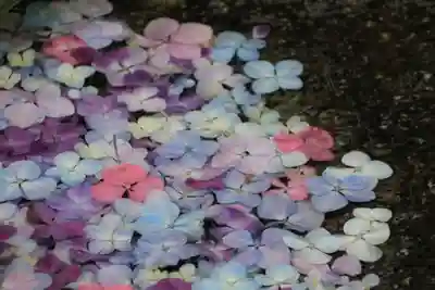 開成山大神宮の手水舎