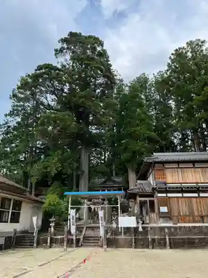 田瀬神社(岐阜県)