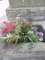 熊野福藏神社の自然