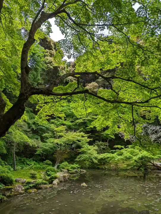 南禅院(京都府)