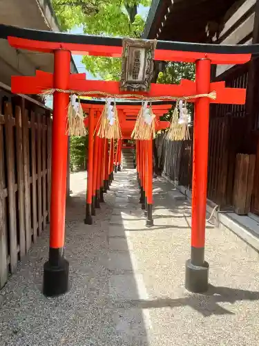 堀越神社(大阪府)