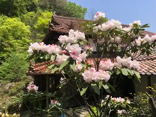 木舟山　順教寺の自然