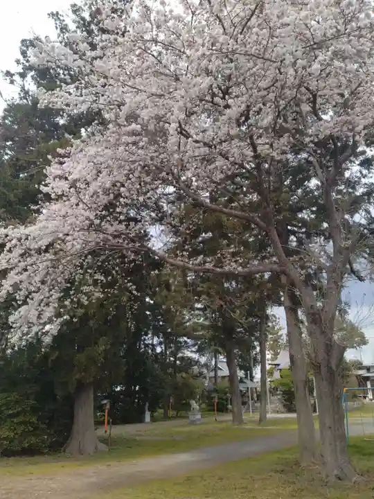 志波姫神社(宮城県)