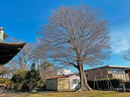 淡海國玉神社のその他建物