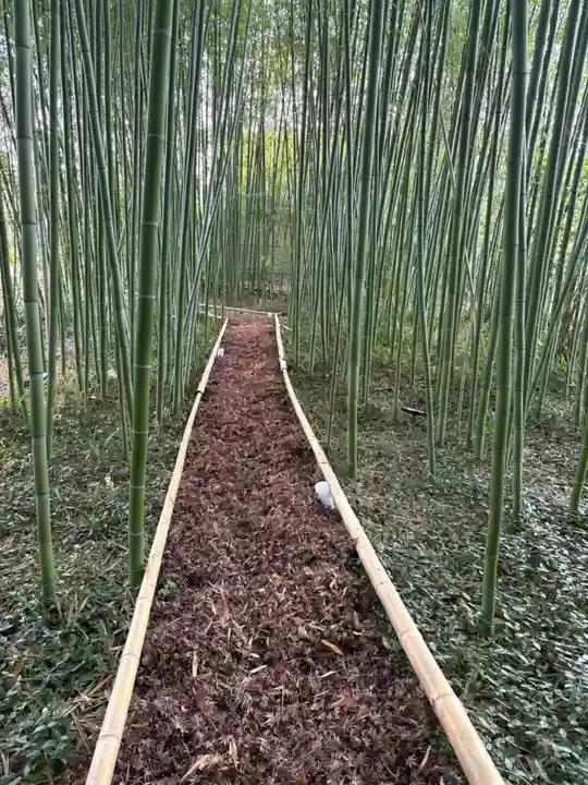 鹿王院(京都府)